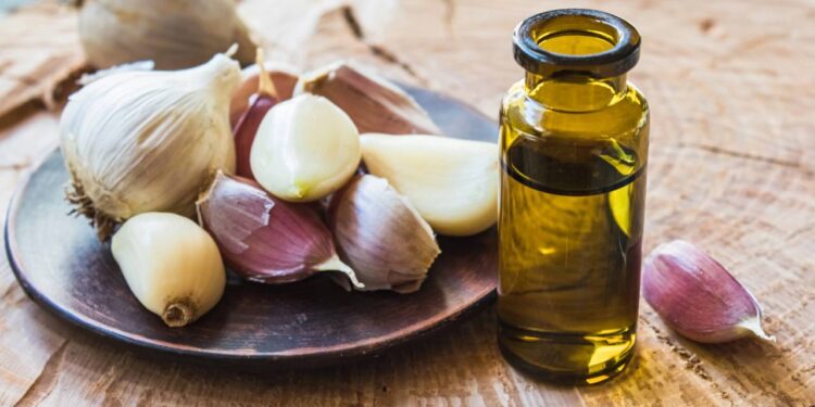 Plantar alho em casa com esse passo a passo simples e pare de comprar no mercado