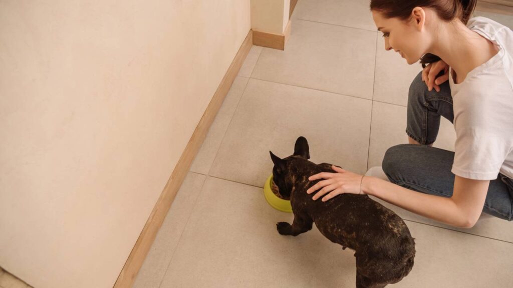 nome para cachorros comilão