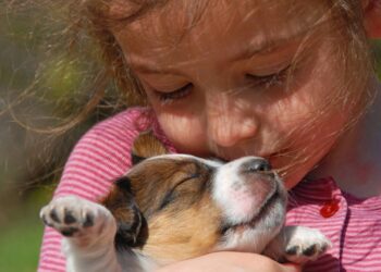 nomes para filhotes de cachorros