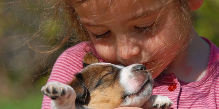 nomes para filhotes de cachorros