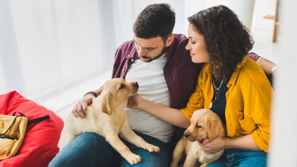 Os melhores nomes de cachorro curtos, simples e que combine com a raça do seu pet