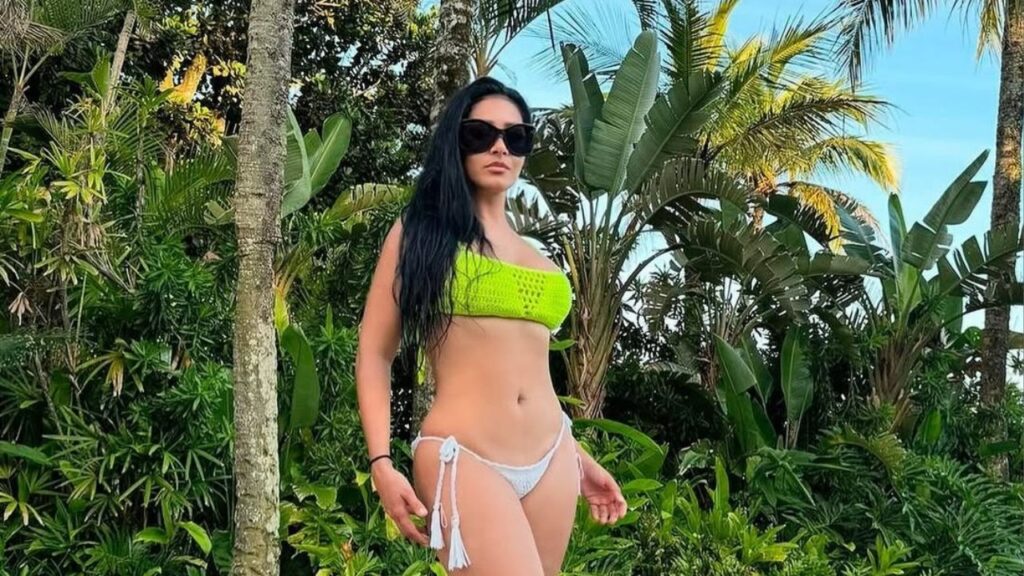 Simone Mendes decreta fim da dupla com Simaria e compartilha planos para 2026