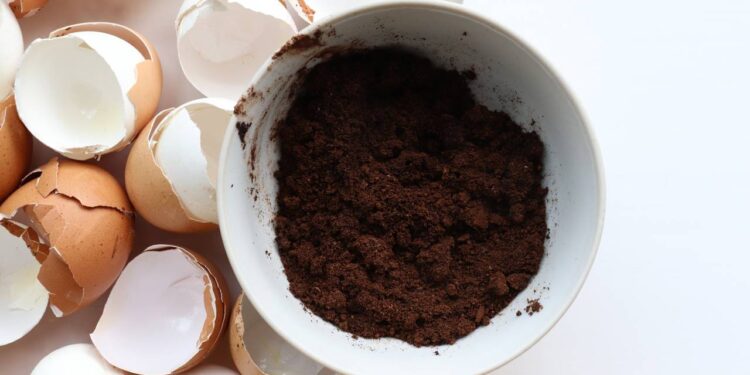 Nem água sanitária, nem desinfetante: casca de ovo moída que tira mancha de caneca de café pra sempre
