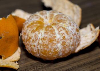 Nem pedra hume, nem difusor: casca de tangerina no radiador perfuma a casa inteira no verão