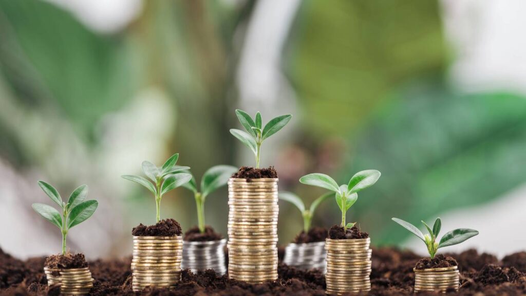 3 signos podem ganhar uma grana inesperada ainda em dezembro