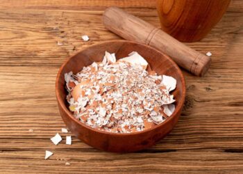 Nem pedra-pomes, nem lixa: casca de ovo triturada que tira tártaro do vaso sanitário sem riscar