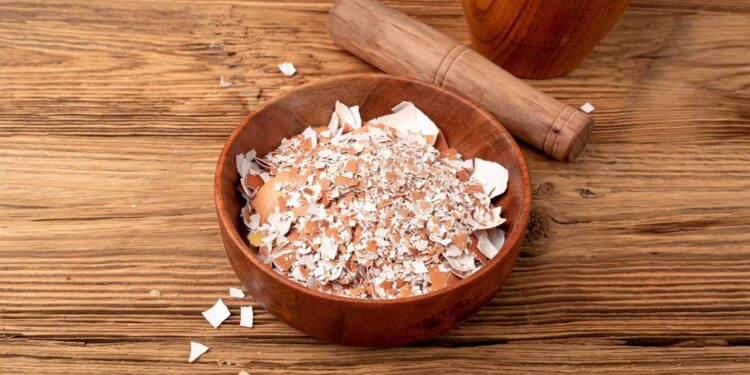 Nem pedra-pomes, nem lixa: casca de ovo triturada que tira tártaro do vaso sanitário sem riscar