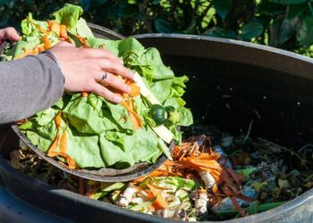 Como reduzir o desperdício de alimentos em casa