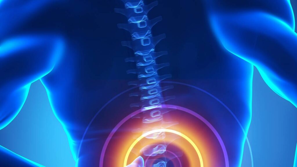Exercício no chão que ativa o core em segundos e ajuda a aliviar dores na lombar