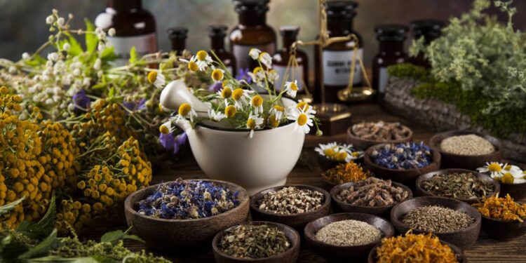 Como cultivar ervas aromáticas para uso doméstico