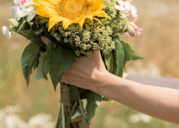 Aprender a plantar girassol em vaso pode ser mais simples do que parece e muito mais bonito