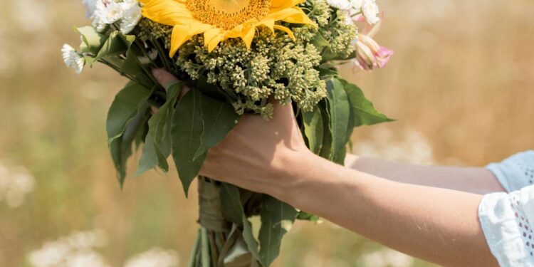 Aprender a plantar girassol em vaso pode ser mais simples do que parece e muito mais bonito