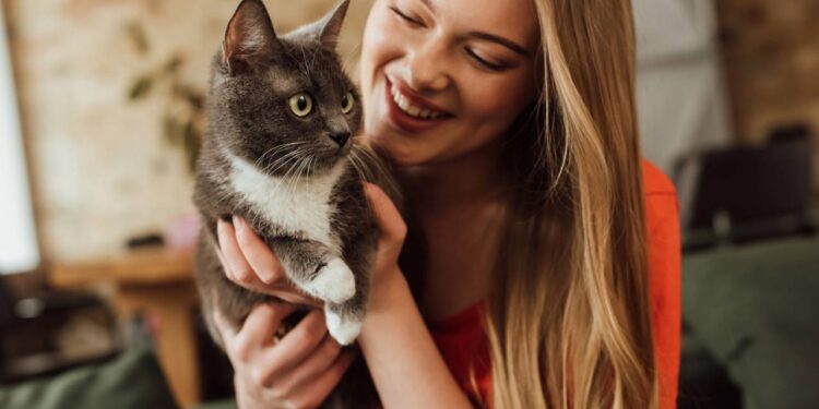 Falsas crenças sobre os gatos que você deve deixar de acreditar