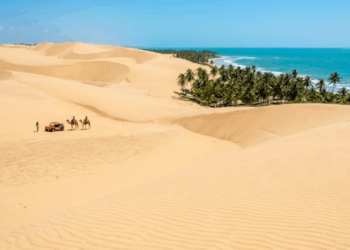 Quem passa por esse pedaço do litoral nordestino percebe que a viagem valeu a pena