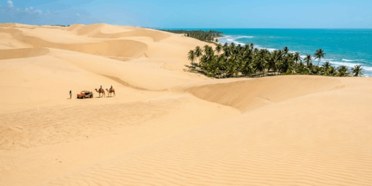 Quem passa por esse pedaço do litoral nordestino percebe que a viagem valeu a pena