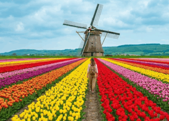 A cidade mais florida do Brasil vai te render as fotos mais bonitas da sua vida