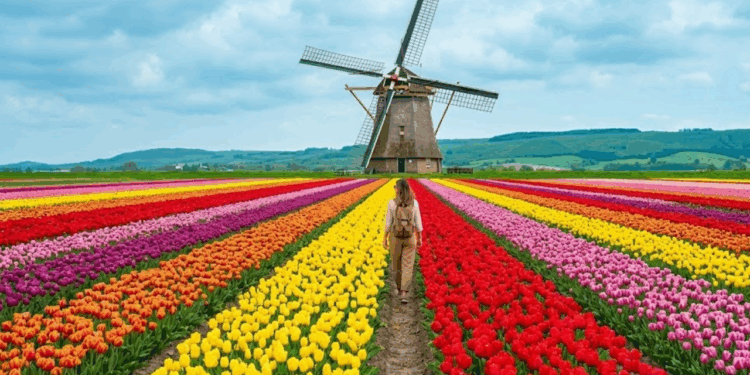 A cidade mais florida do Brasil vai te render as fotos mais bonitas da sua vida