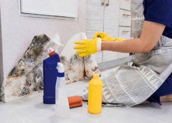 Livre sua casa do cheiro de mofo e sinta o alívio imediato