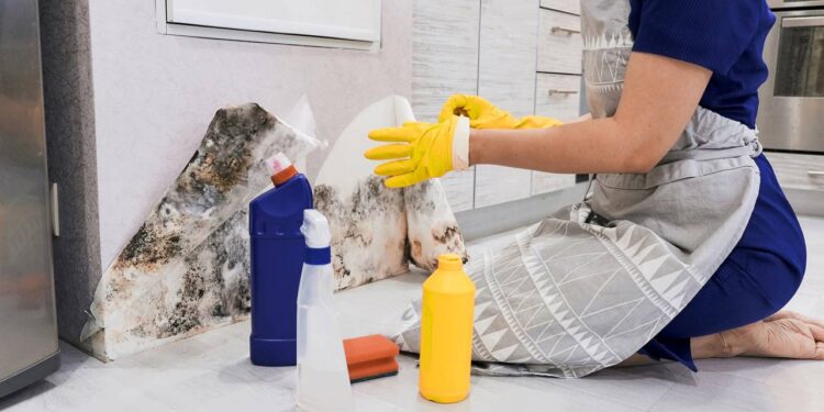Livre sua casa do cheiro de mofo e sinta o alívio imediato
