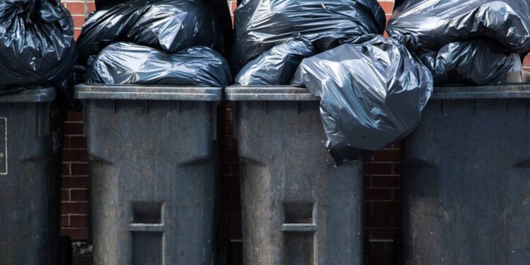 Aprenda como o cheiro ruim da lixeira com pequenos hábitos que mudam totalmente o cheiro da lixeira