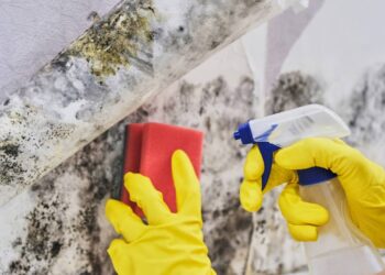 mistura caseira para remover mofo