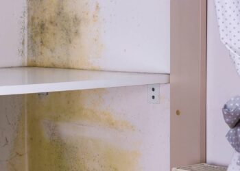 Como evitar mofo em guarda-roupas de parede úmida usando giz escolar