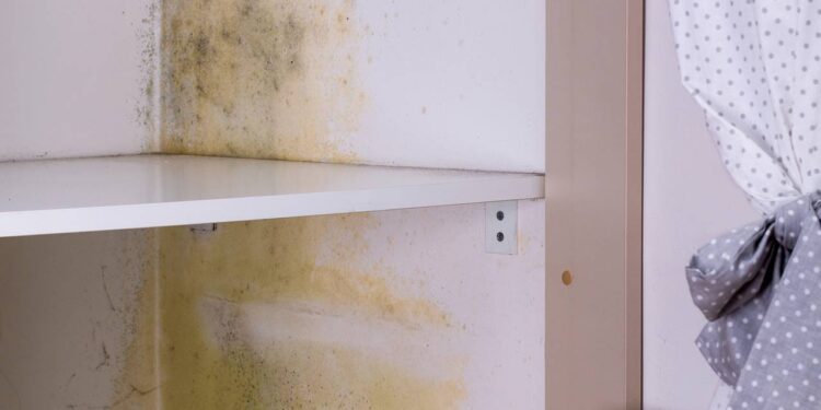 Como evitar mofo em guarda-roupas de parede úmida usando giz escolar