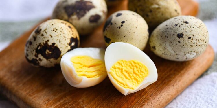 ovo de codorna cozido