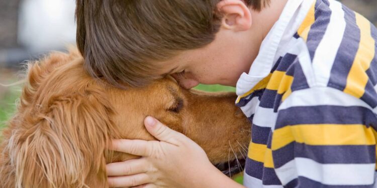 Alguns cuidados com pets parecem demonstração de carinho, mas podem causar doenças silenciosas e problemas de saúde