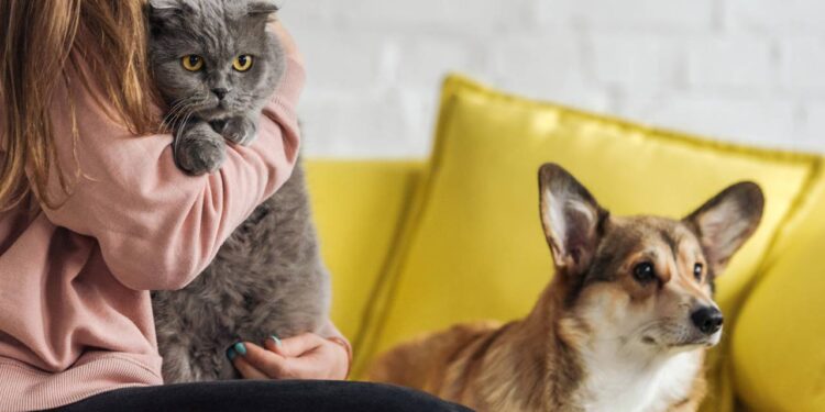 Nomes mais criativos de cachorro e gato mais usados no Brasil em 2025