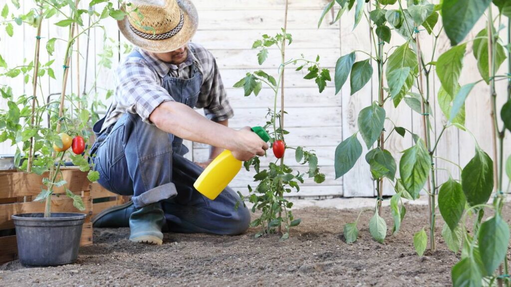 Pragas de verão atacam folhas, raízes e caules quando você menos espera