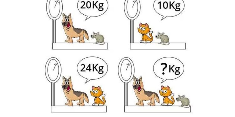 Calcular o peso dos animais em 11 segundos é possível? Teste agora