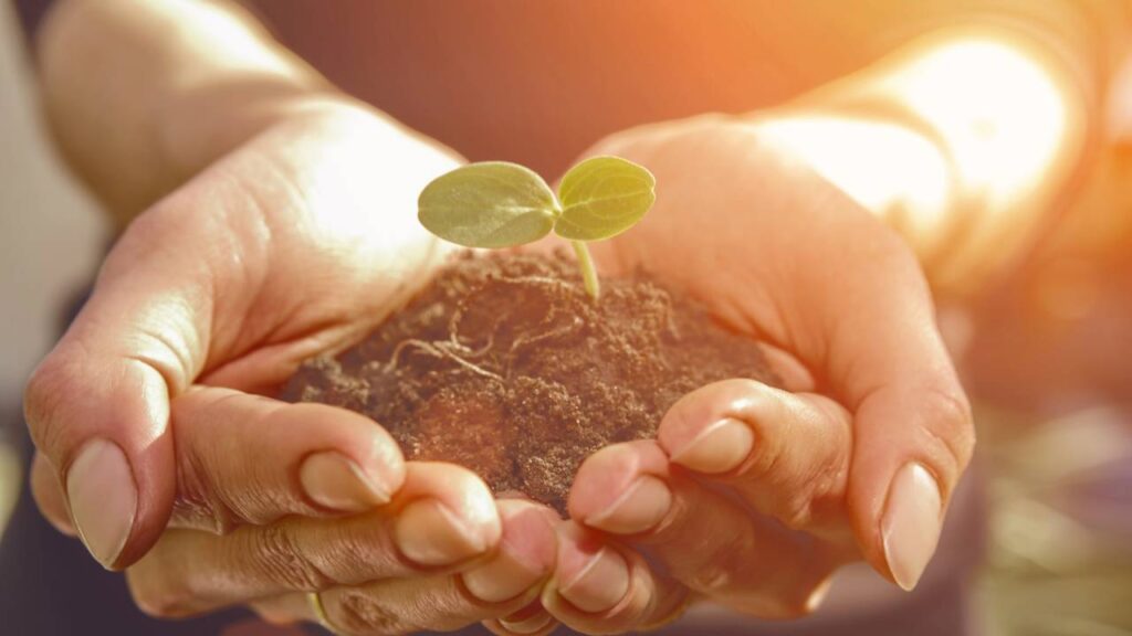 Encerramentos e recomeços no tarô têm um símbolo forte que poucos entendem