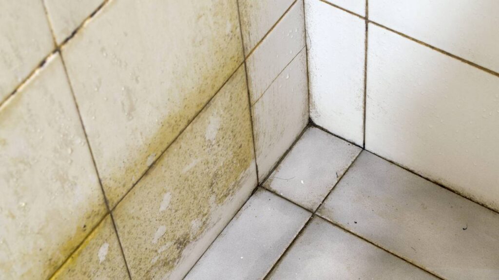 limpeza de rejunte encardido 