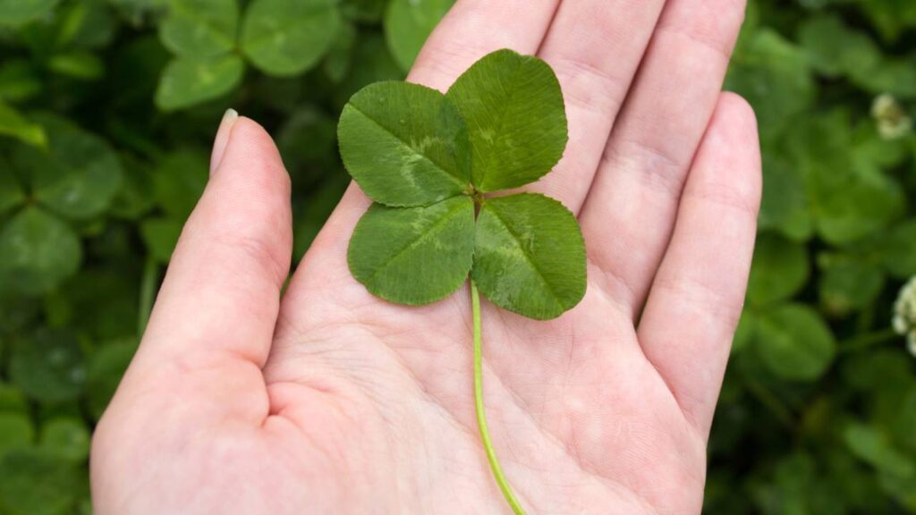 Signos com mais sorte nos próximos dias viverão reviravoltas boas e inesperadas