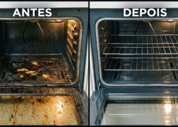 limpeza no forno sem vinagre