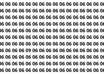 Encontre o número 09 entre vários números 06 em apenas 12 segundos neste desafio