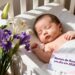 4 nomes de menina inspirados em flores que estão em alta entre os bebês em 2025