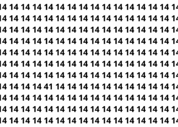 Apenas 3 em 30 pessoas conseguem encontrar o número escondido na imagem