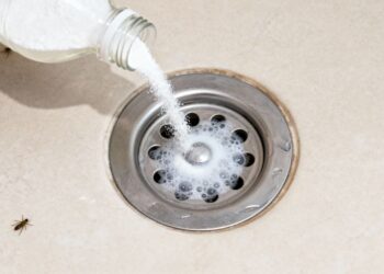 A melhor solução para eliminar o mau cheiro do ralo é usar esses produtos naturais regularmente