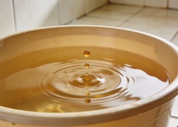 Adiciono 2 gotas à água para lavar o chão: o aroma dura três dias e o pó deixa de se acumular