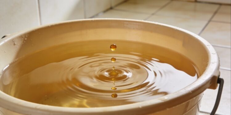 Adiciono 2 gotas à água para lavar o chão: o aroma dura três dias e o pó deixa de se acumular