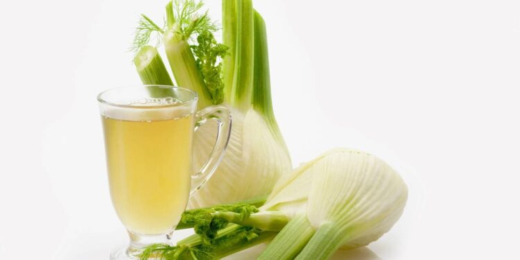 Conheça os usos do chá de funcho, como preparar corretamente e as orientações para auxiliar na digestão, reduzir gases e aliviar cólicas