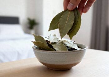 Como afastar os mosquitos de verão da sua casa com apenas uma folha