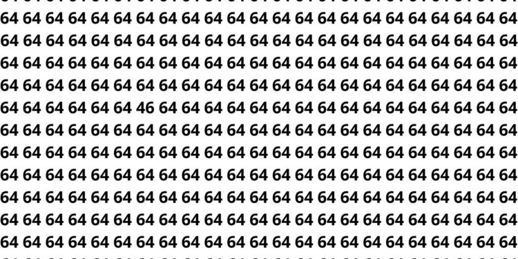 Número 46 camuflado entre 64: consegue encontrar antes dos amigos?