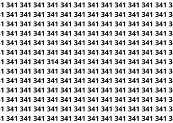 encontre o numero 314