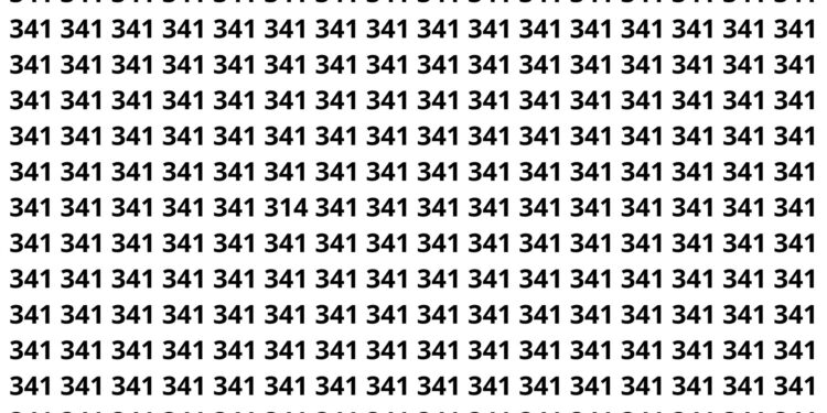 encontre o numero 314