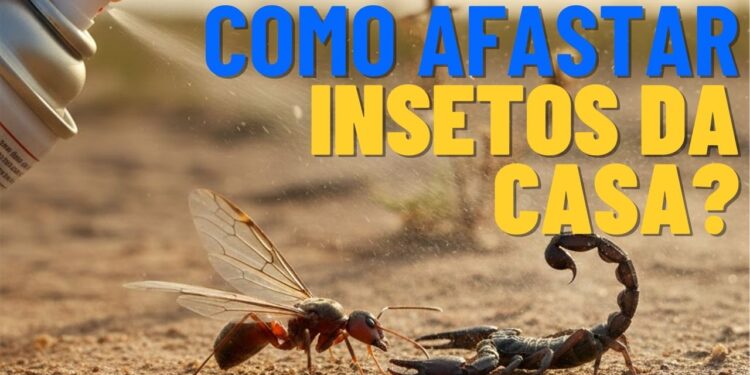 Os insetos estão infestando a sua casa no verão? Saiba como afastá-los com truques eficazes que manterão sua casa limpa e segura