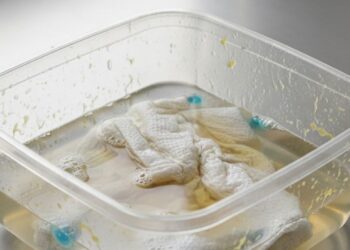 Você vai precisar de apenas uma folha de papel toalha para remover toda a gordura do pote de plástico e deixá-lo limpo em menos de 3 minutos