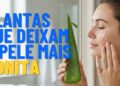 Plantas que melhoram a saúde da pele e aumentam o viço natural, deixando a aparência mais bonita sem agredir a barreira cutânea